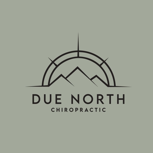 Due North Chiropractic