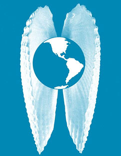Coastal Carolinas Integrated Medicine