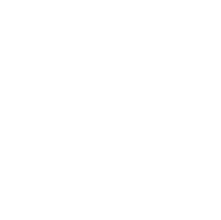 FIT: Functionally Informed Training