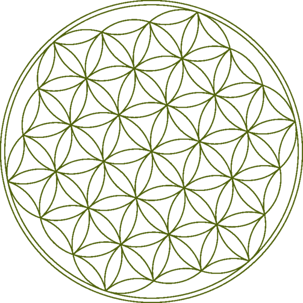 Body of the Earth Massage &Wellness LLC