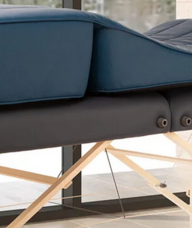 Book an Appointment with Pemf Therapy (2) for PEMF