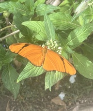 Book an Appointment with Office Manager for Sauna